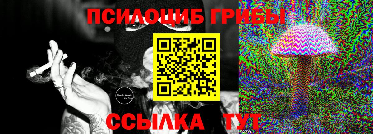Псилоцибиновые грибы Psilocybe Фролово