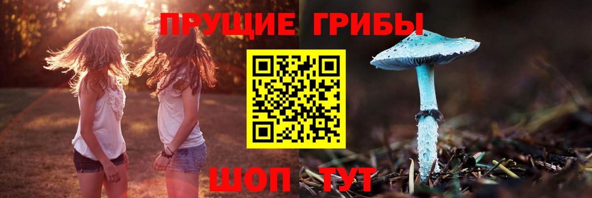 где продают наркотики  Псилоцибиновые грибы Psilocybine cubensis  Галлюциногенные грибы Psilocybe  Вход с VPN  Фролово 