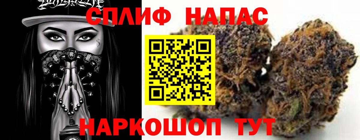 Конопля ГИДРОПОН  Конопля OG Kush  Конопля SATIVA & INDICA  Фролово  Вход с VPN 